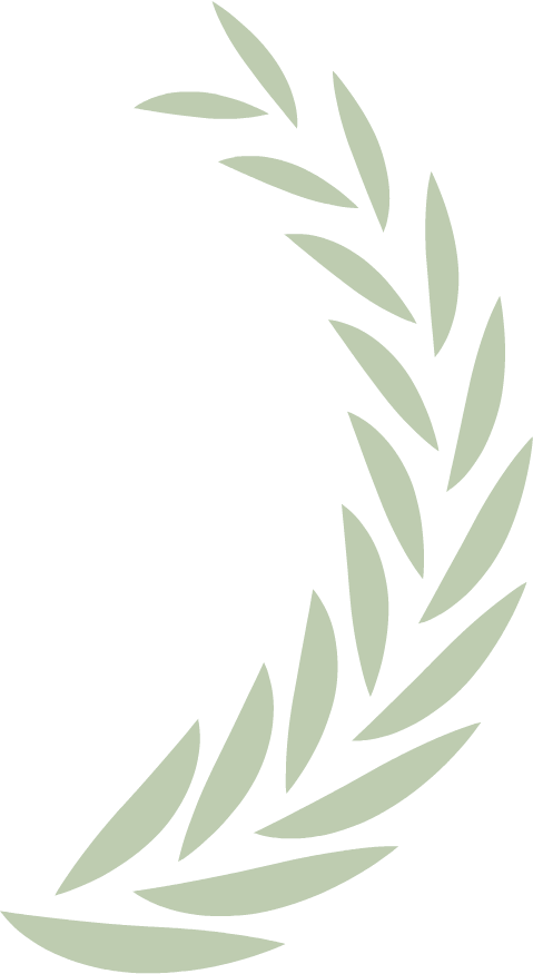 Olive Branch Right